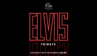 Elvis Tribute Night poster