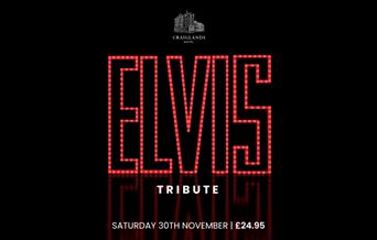 Elvis Tribute Night poster