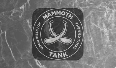 Shindig - 10 Years Of Mammoth Tank poster