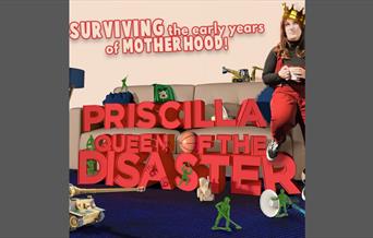 Priscilla Queen Of The Disaster poster