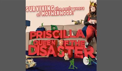 Priscilla Queen Of The Disaster poster