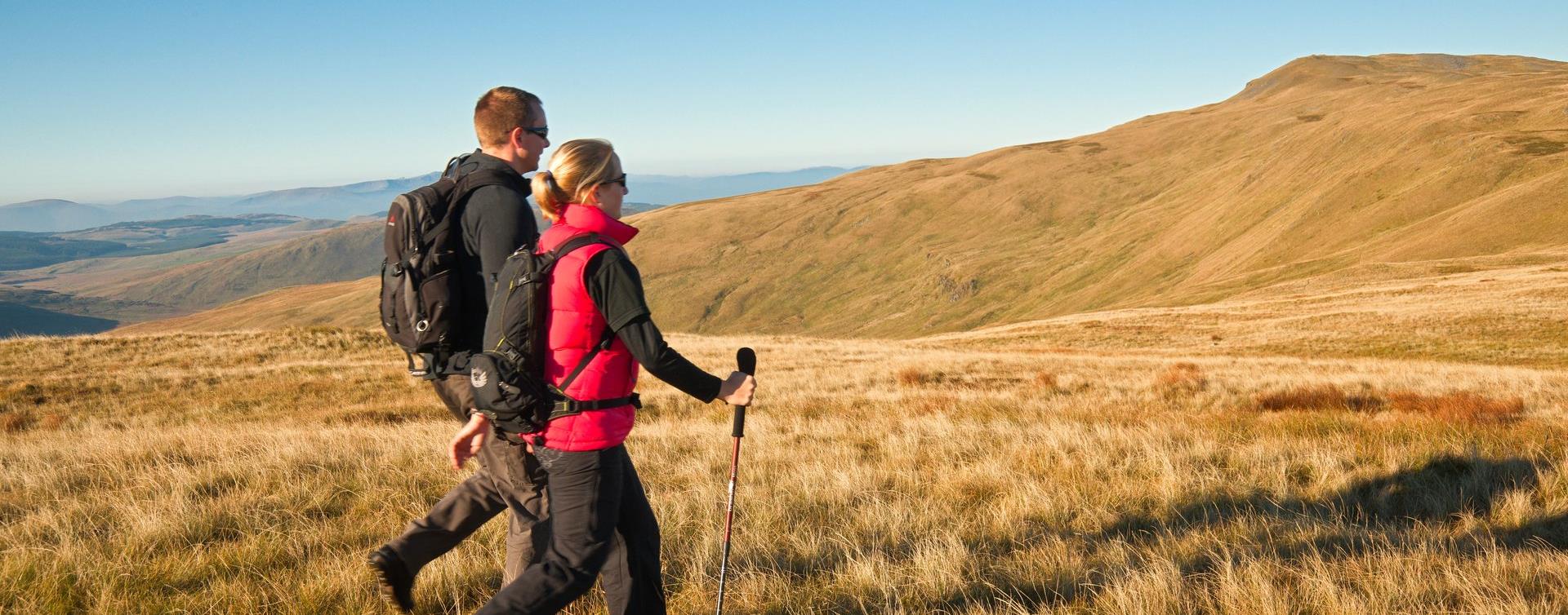 Two walkers crossing golden autumn grass on Pumlumon Fawr in the Cambrian Mountains