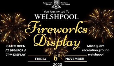 Welshpool Carnival 2026 poster