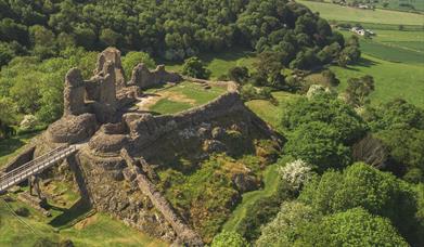 Montgomery Castle