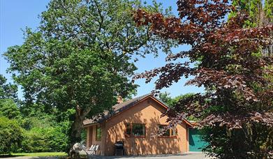 Broncoedwig self catering bungalow exterior