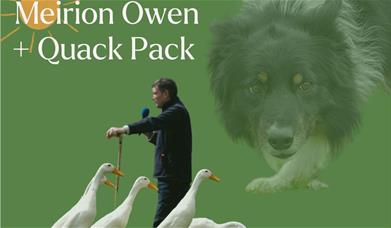 Meirion Owen and the Quack Pack at Cardigan Castle