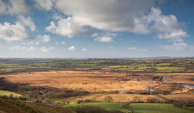 Aerial view of Cors Caron