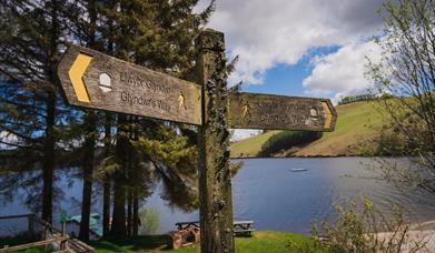 Glyndwr's Way, Llyn Clywedog