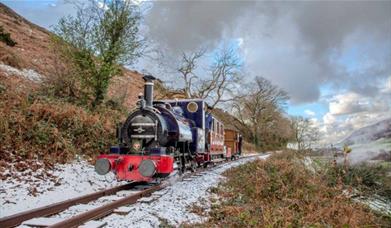 Christmas Victorian Train - Tren Nadolig Fictoraidd