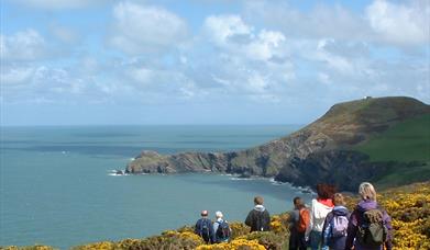 Dragon Trails Walking Holidays | Nr Llangrannog