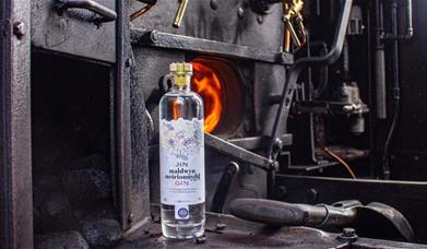 Gin Train | Talyllyn Railway