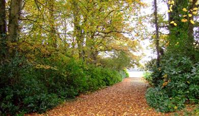 Llanercharon grounds in the Autumn