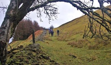 Lord Crawshaw Memorial Walk