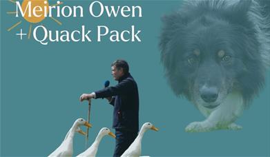 Meirion Owen and the Quack Pack at Cardigan Castle