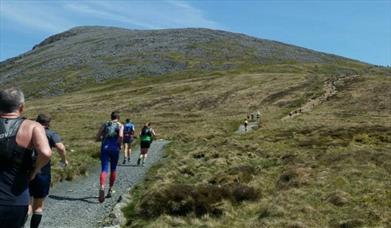 Cader Idris Race
