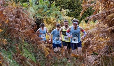 Ron Skilton Memorial Half Marathon -Green Events