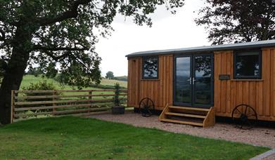 Cyfie Farm | Shepherds Hut