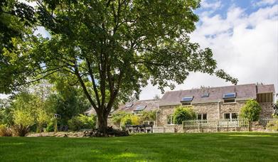 A view from our garden to our luxury suites