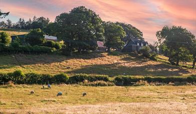 Llwyn Coppa Holiday Cottages