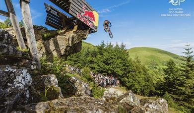 Red Bull Hardline Wales