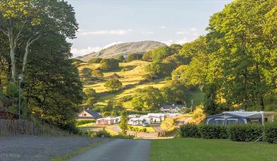 Barcdy Caravan Park - Touring and Camping