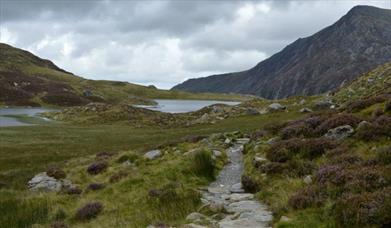 Barmouth Walking Festival