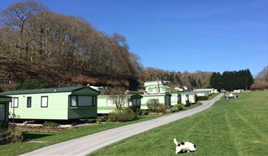 Cefn Crib Caravan Park