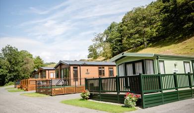 Gwernydd Hall Holiday Park