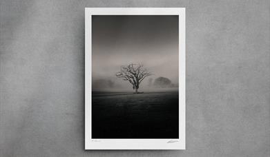 shop photography, limited edition prints by Brad Carr