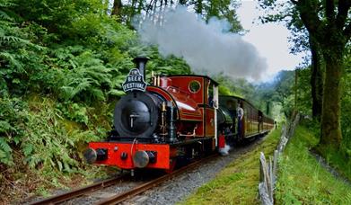 Beer Festival | Talyllyn Railway