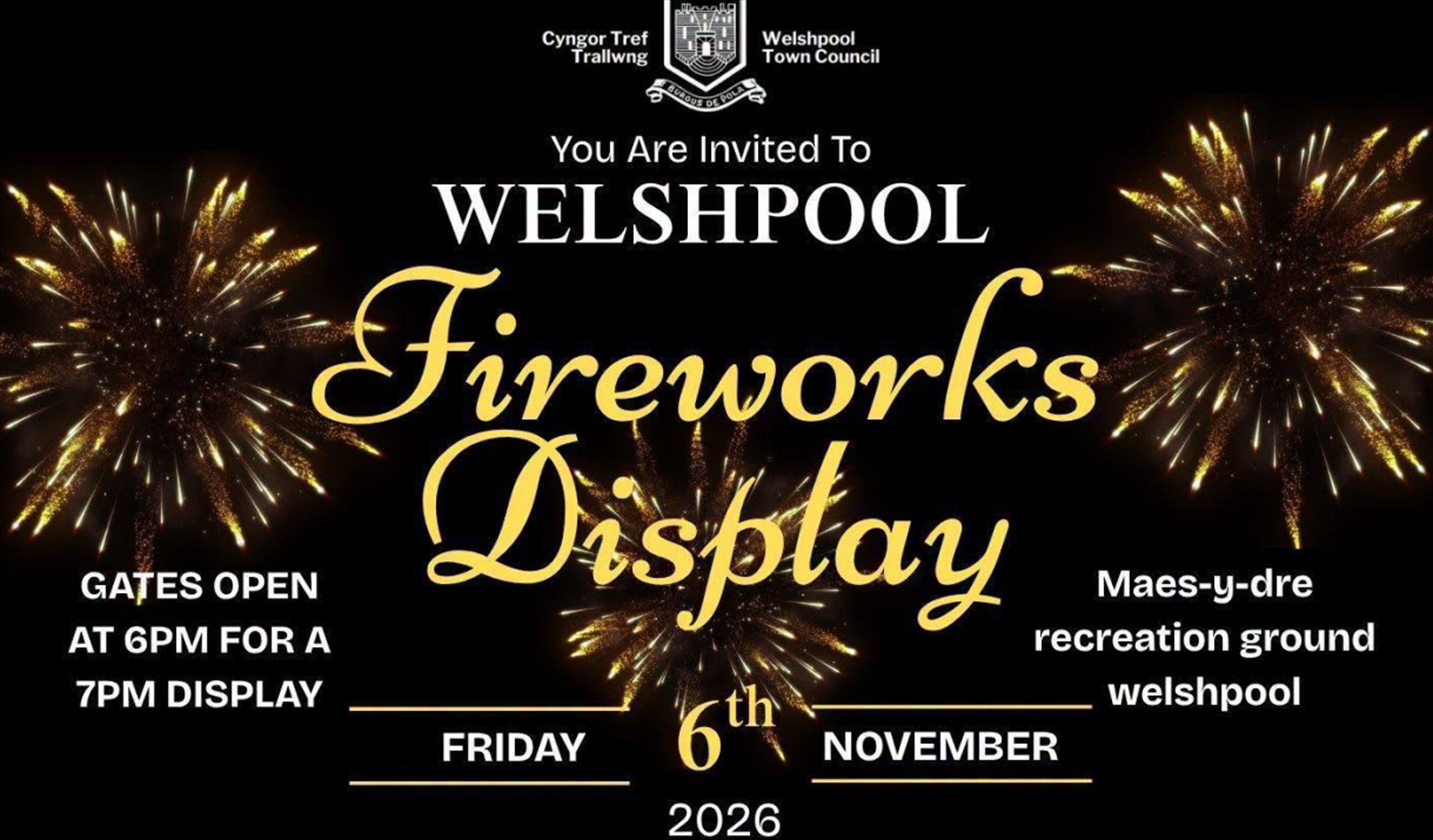 Welshpool Carnival 2026 poster