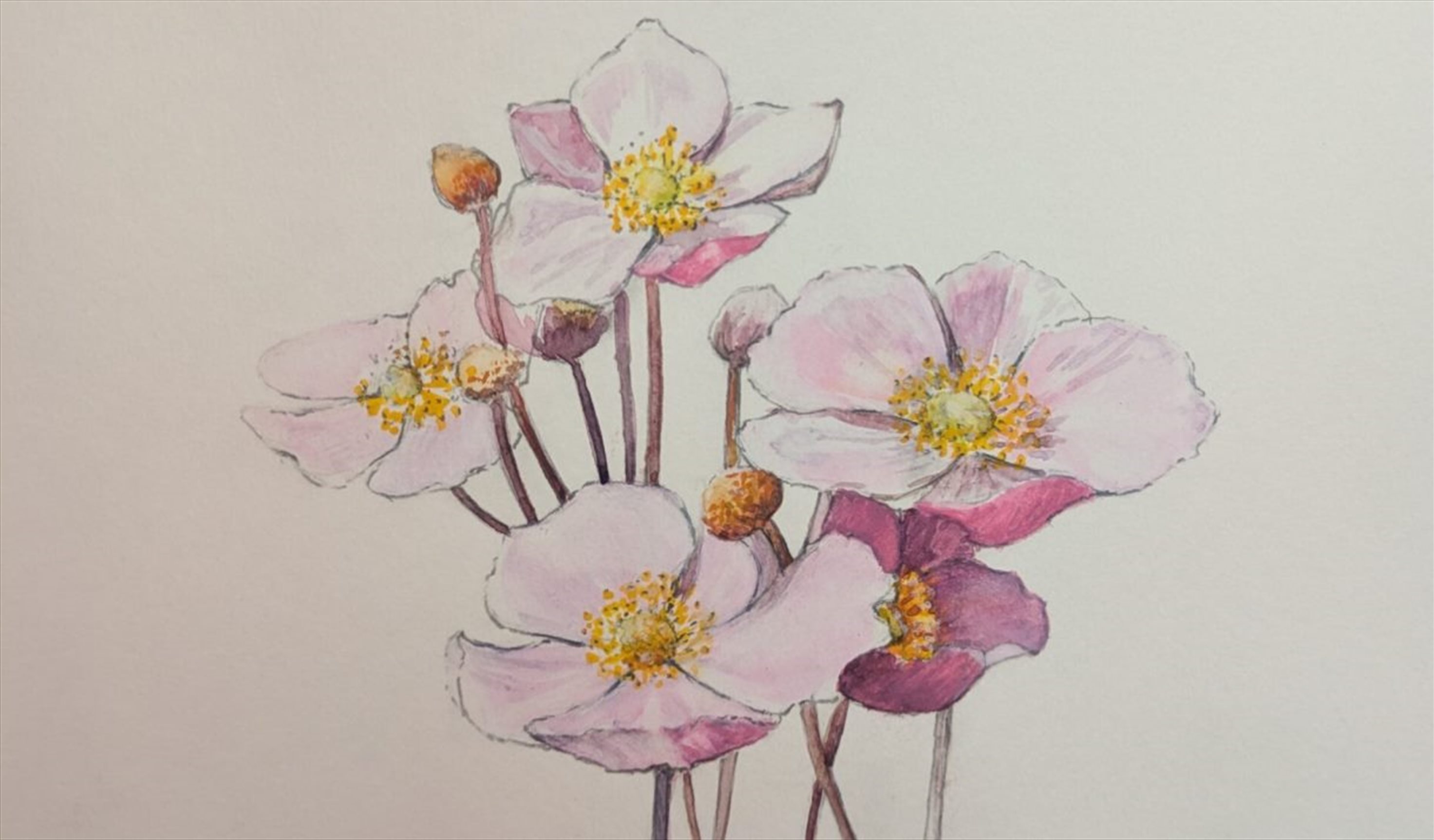 Art Class : Watercolour Taster Class - Painting Japanese Anemones - Gregynog