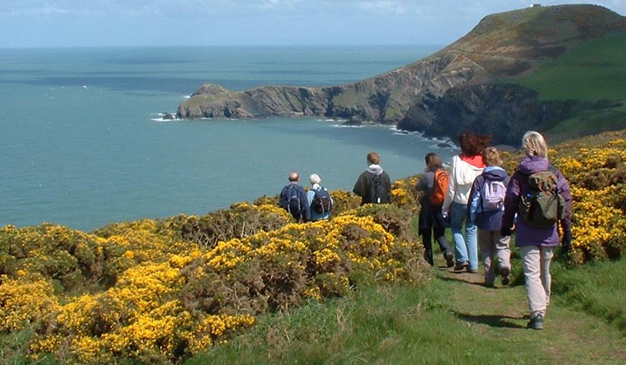 Dragon Trails Walking Holidays | Nr Llangrannog