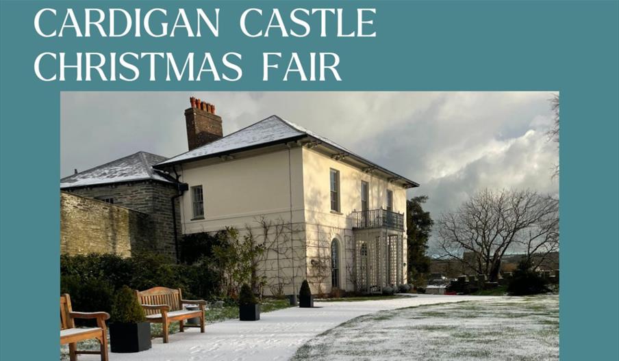 Cardigan Castle Christmas Fair 2025