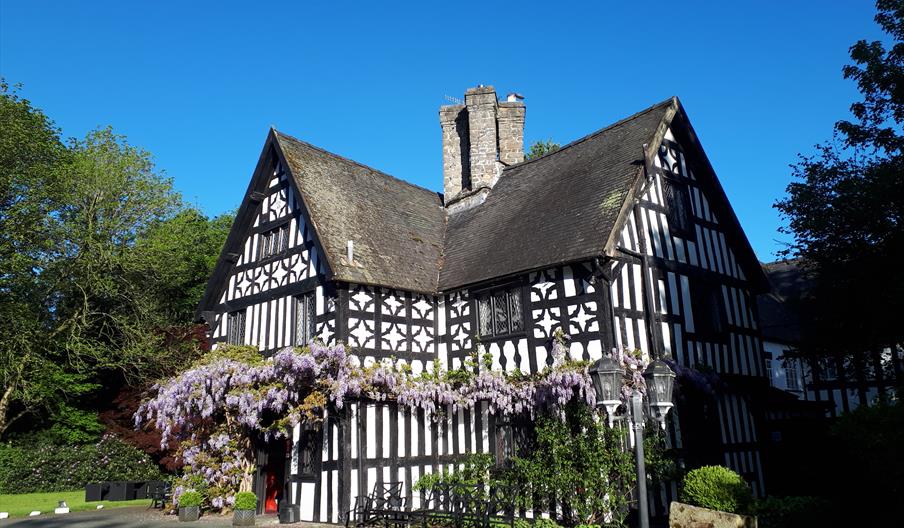 Maesmawr Hall Hotel in Summer