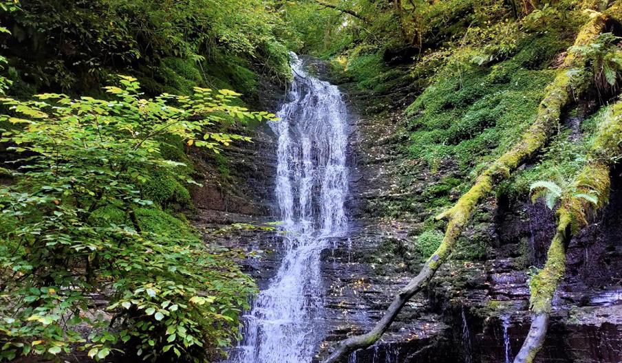 Warren Wood Waterfalls