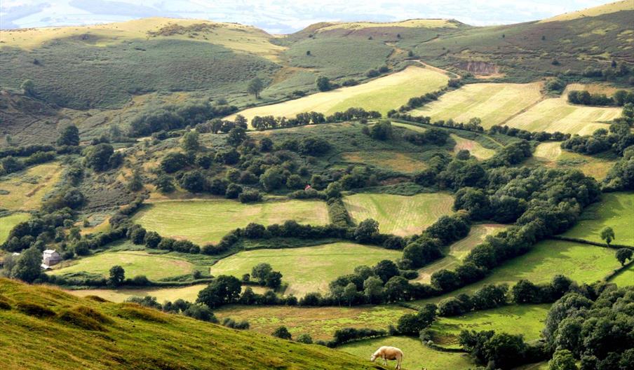 Irfon Valley