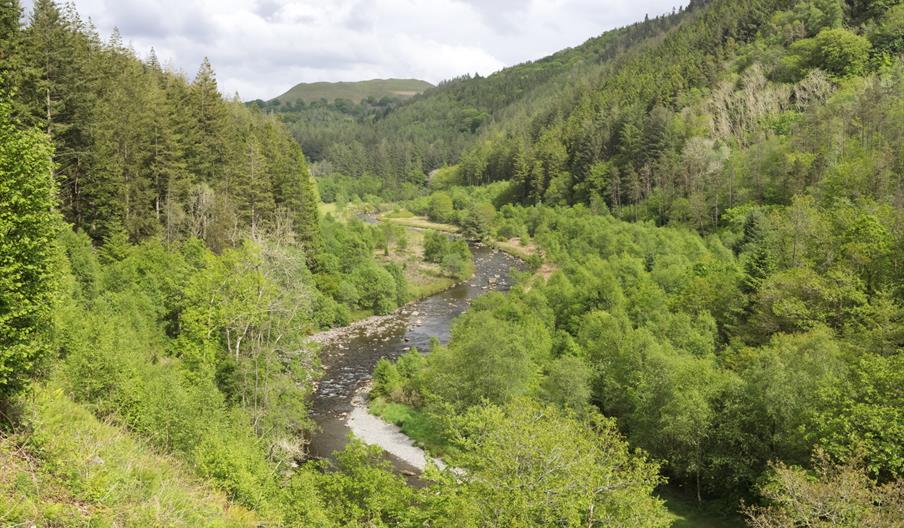 Afon Ystwyth