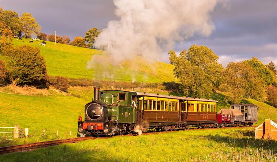 are dogs allowed on trains in wales