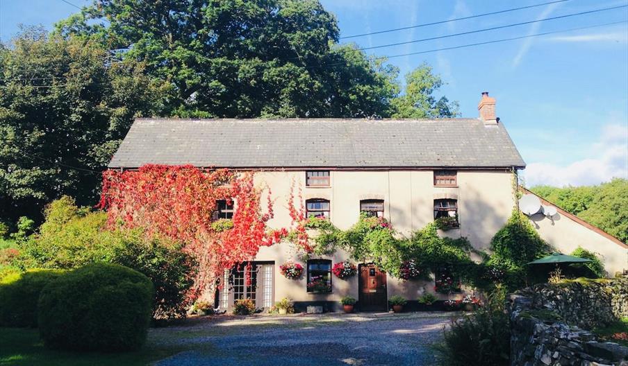 Old Mill Felin Fach