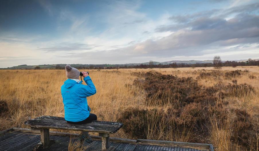 Cors Caron Nature Reserve, near Tregaron