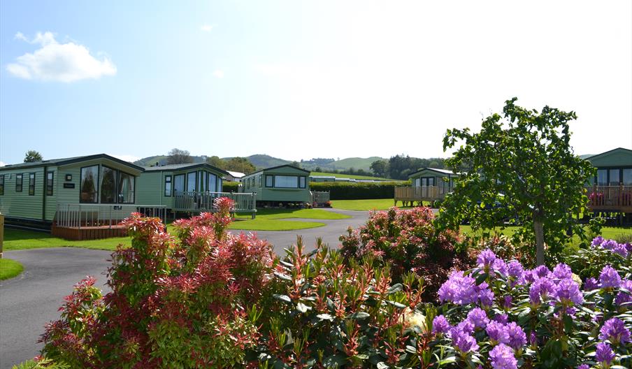 Gellidywyll holiday home park