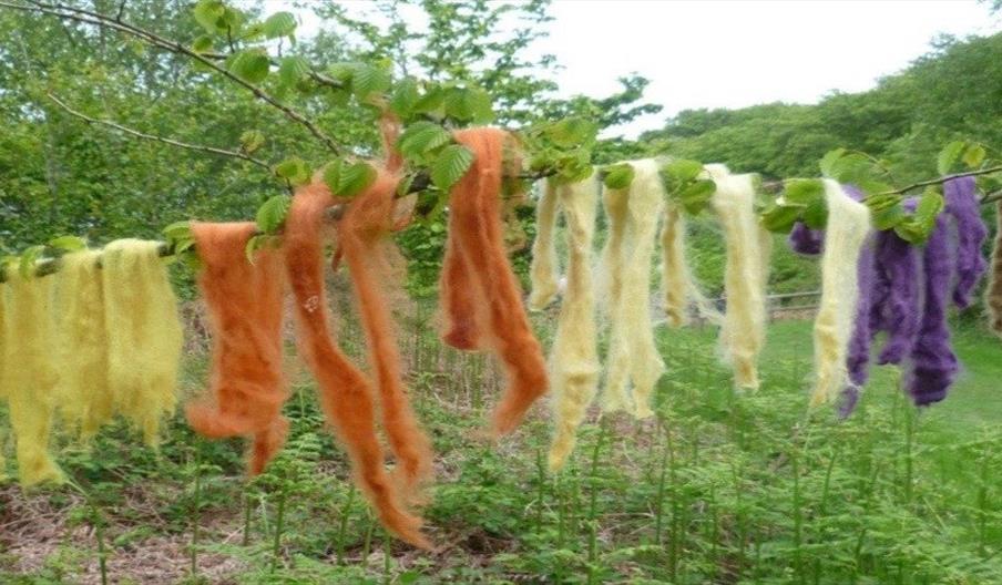 Natural Dyeing