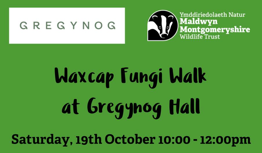 Waxcasp Fungi Walk organised by Montgomeryshire Wildlife Trust