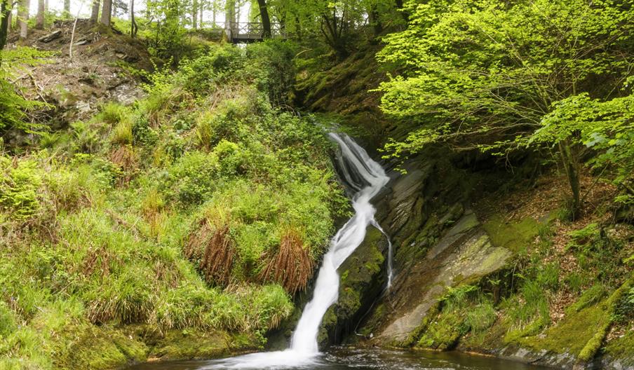 Hafod Estate Pieran Falls