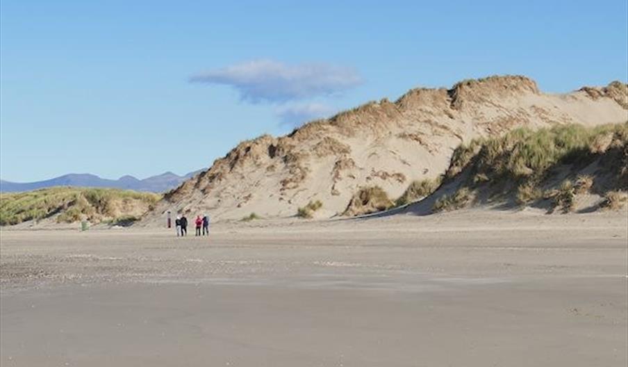 Morfa Dyffryn Nature Reserve (NRW) - near Barmouth - Visit Mid Wales