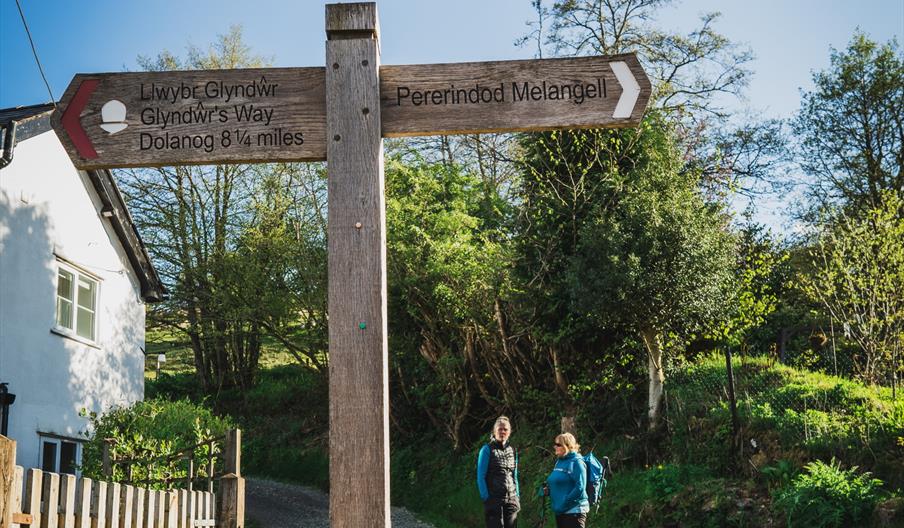 Glyndwr's Way | Pererindod Melangell