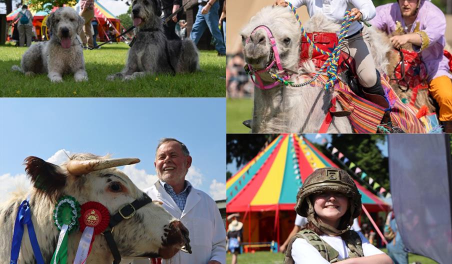 Royal Welsh Showground | Spring Festival