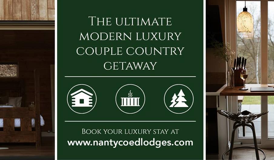 Promo cover with contact details