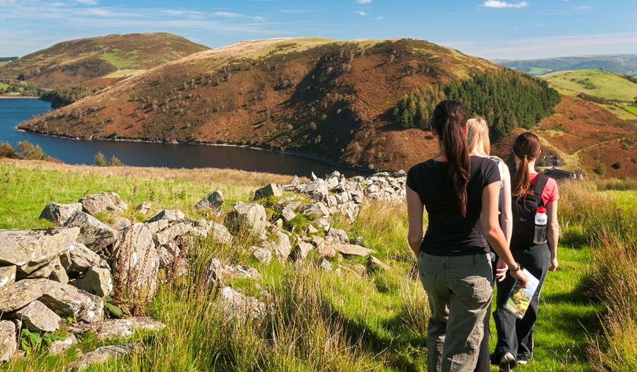 Cambrian Mountains